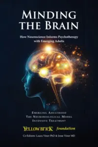 Minding the Brain: How Neuroscience Informs Psychotherapy with Emerging Adults